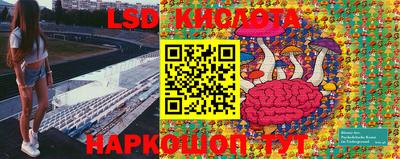 прущие грибы Краснокаменск