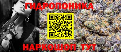 прущие грибы Краснокаменск