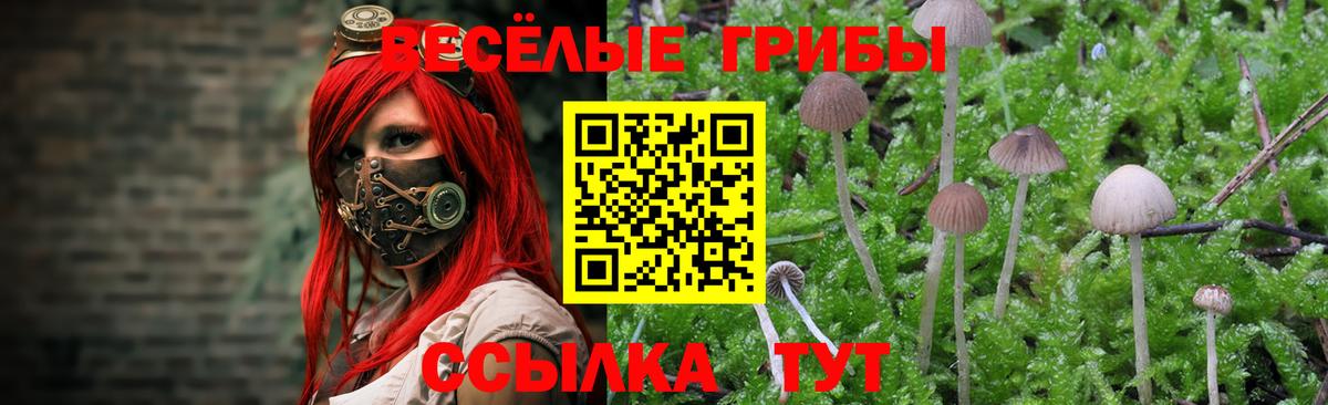 Галлюциногенные грибы Magic Shrooms Ирбит